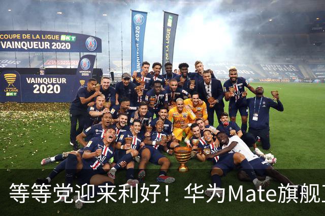 等等党迎来利好！华为Mate旗舰直降2100元，16+512GB版本值得入手